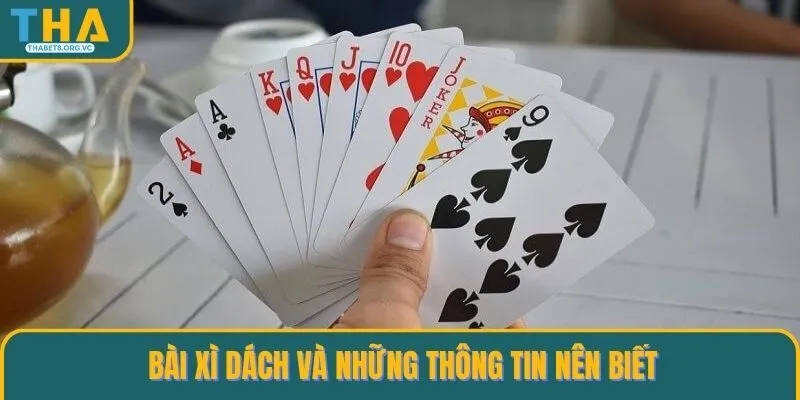 Bài Xì Dách và những thông tin nên biết