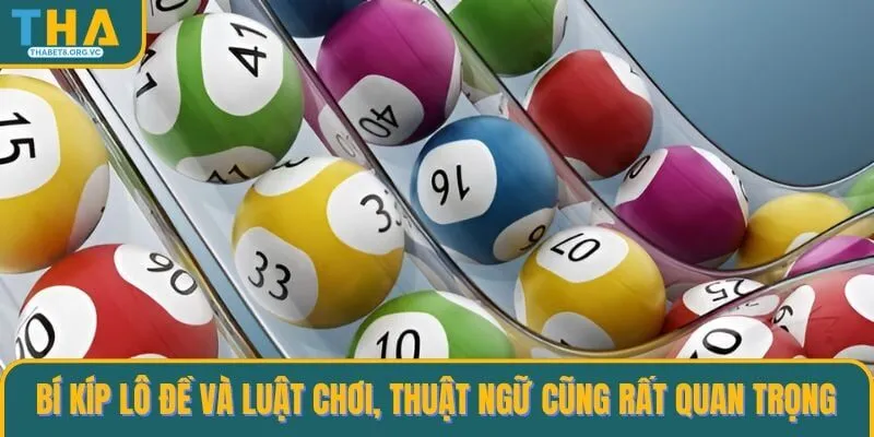 Bí kíp lô đề và luật chơi, thuật ngữ cũng rất quan trọng 