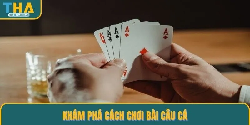 Khám phá cách chơi bài câu cá
