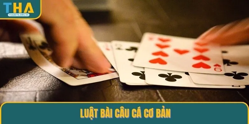 Luật bài câu cá cơ bản