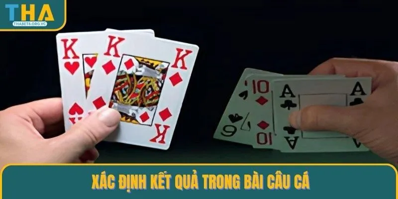 Xác định kết quả trong bài câu cá