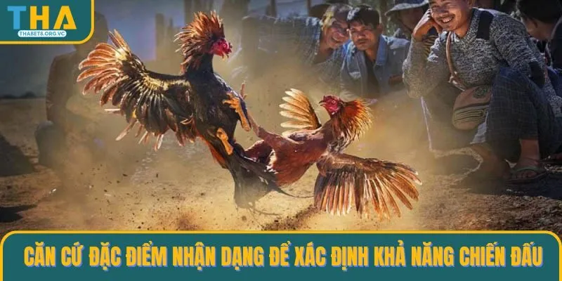Căn cứ đặc điểm nhận dạng để xác định khả năng chiến đấu