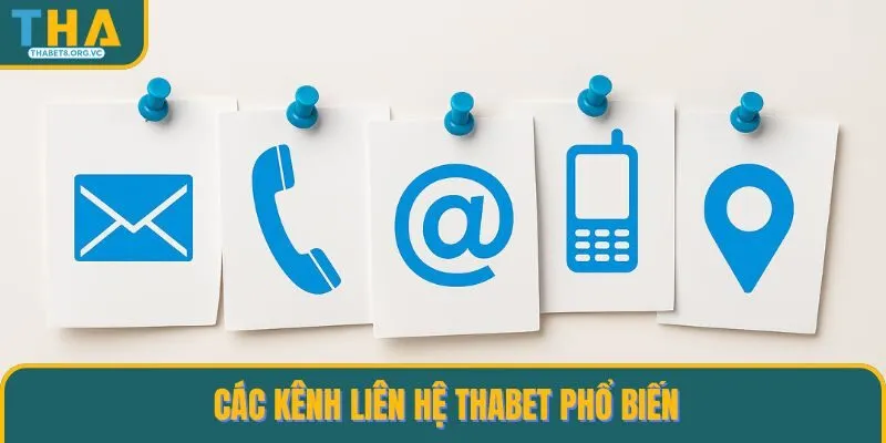Các kênh liên hệ THABET