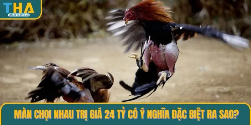 Màn chọi nhau trị giá 24 tỷ có ý nghĩa đặc biệt ra sao?