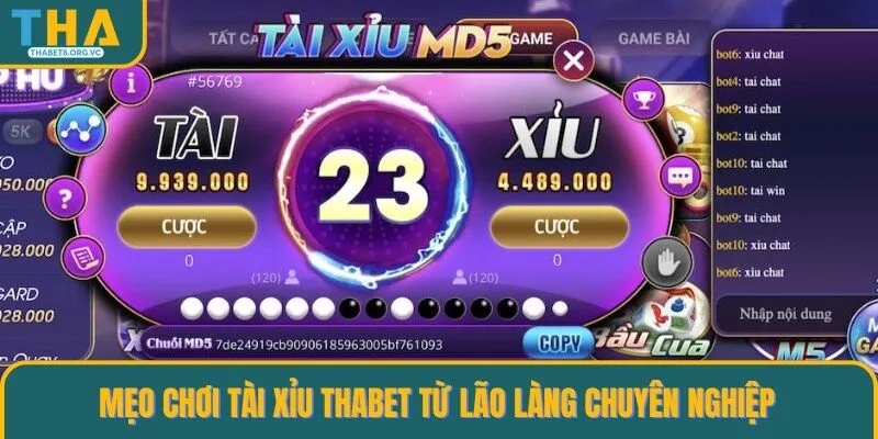 Kinh nghiệm chơi Tài Xỉu THABET từ lão làng chuyên nghiệp