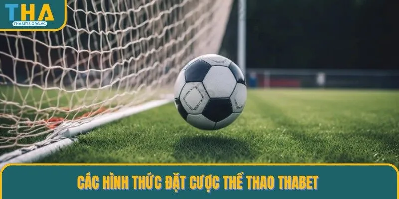 Một số loại kèo đặt cược thể thao THABET 