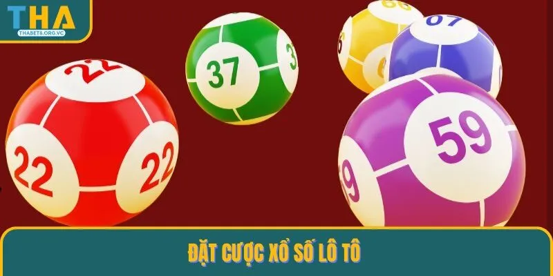 Cá cược xổ số lô tô kiếm tiền thưởng lớn